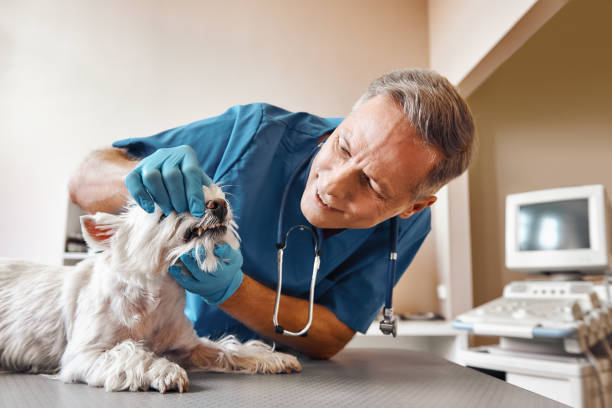 Best Emergency Denture Repair in Rosebud, SD
