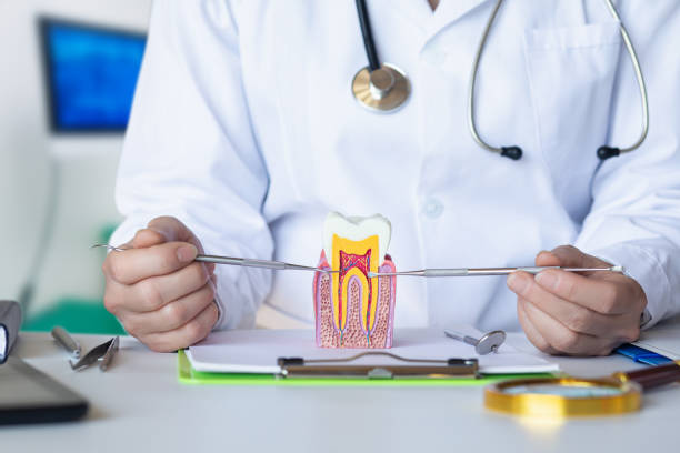 Best Emergency Orthodontic Repairs in Rosebud, SD